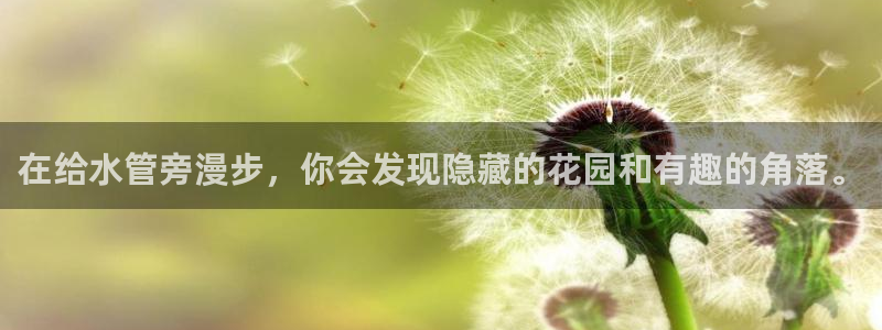 球盟会能提现吗安全吗