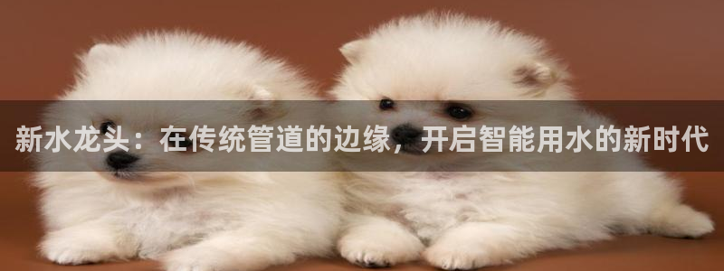 球盟会黑款吗
