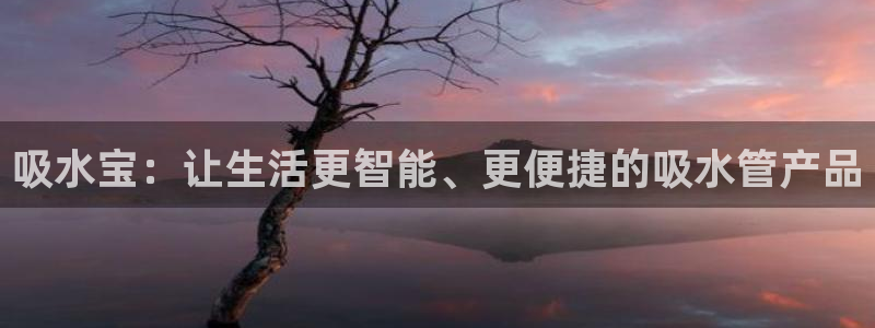 球盟会黑款吗还是白款