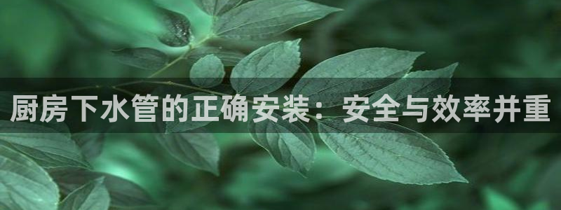 球盟会官网