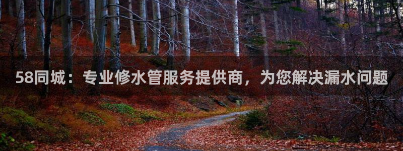 球盟会中国网页登录