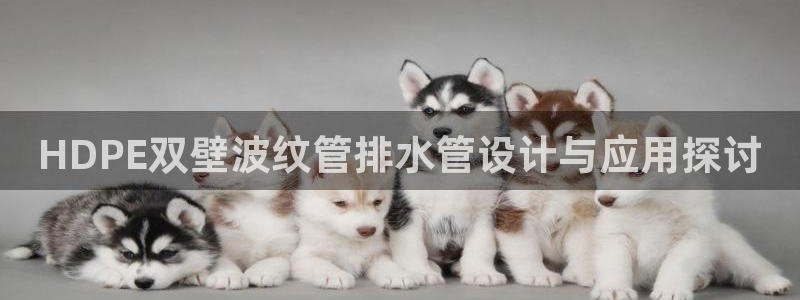 球盟会下款快吗