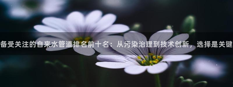球盟会app最新地址下载
