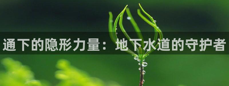 球盟会app最新地址下载