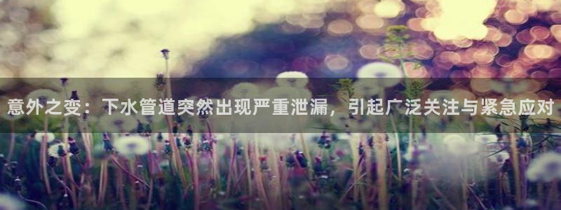 球盟会官方最新入口