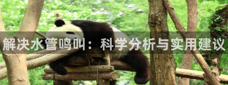 球盟会优惠券