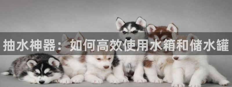 球盟会能退钱吗是真的吗