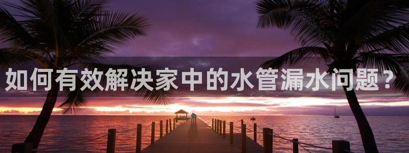 球盟会电子好黑