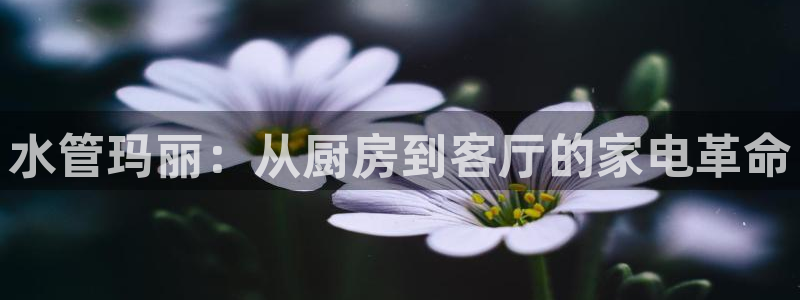球盟会APP最新地址