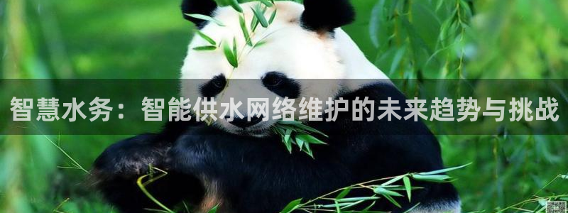 球盟会qmh网页版登录