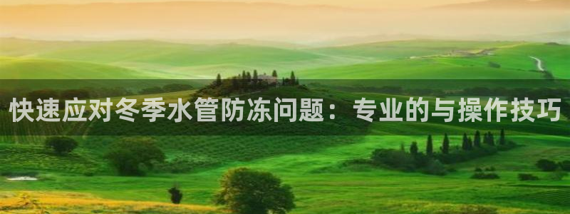 球盟会封号