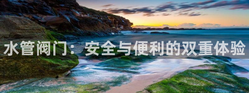 球盟会类似的网站