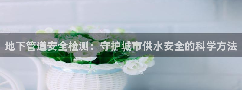 球盟会综合体育平台怎么样