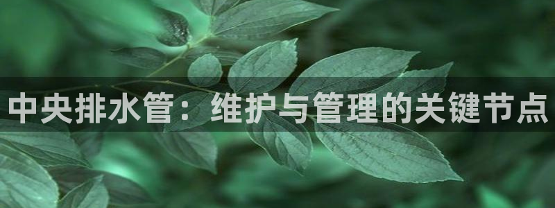 球盟会体育平台