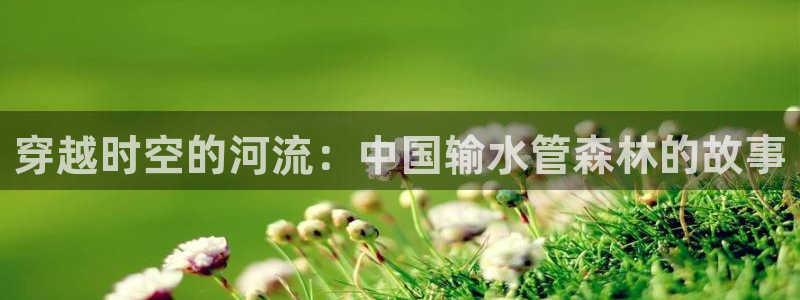 球盟会qm