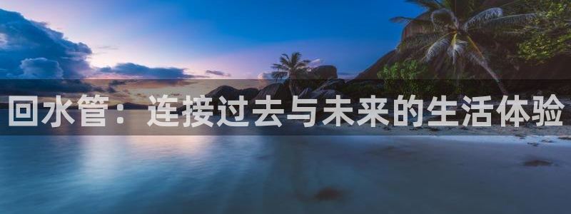 球盟会qm9