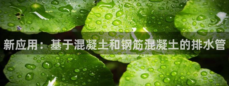 球盟会官方网址入口