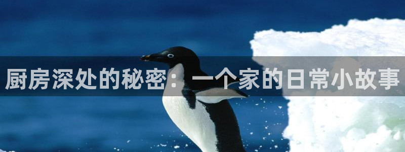 球盟会黑款吗知乎小说