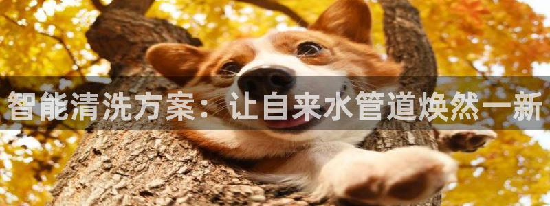球盟会优惠码