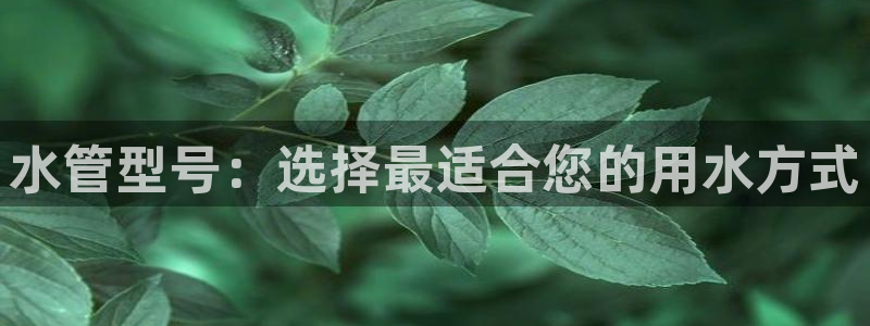 球盟会黑钱