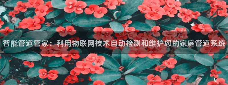 球盟会平台会黑单吗