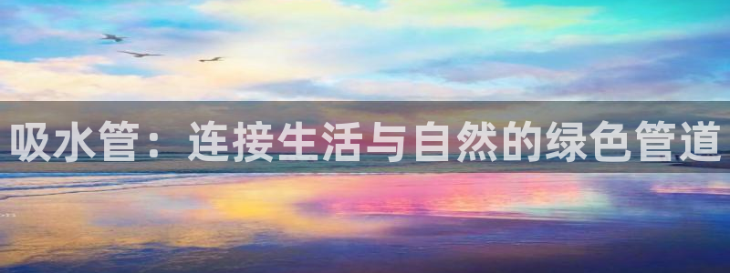 球盟会有没有黑单的活动