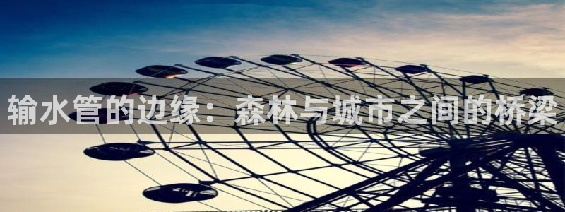 球盟会可以提现么是真的吗