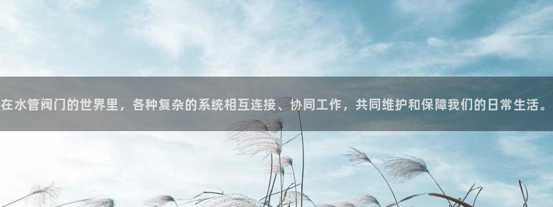 球盟会能退钱吗