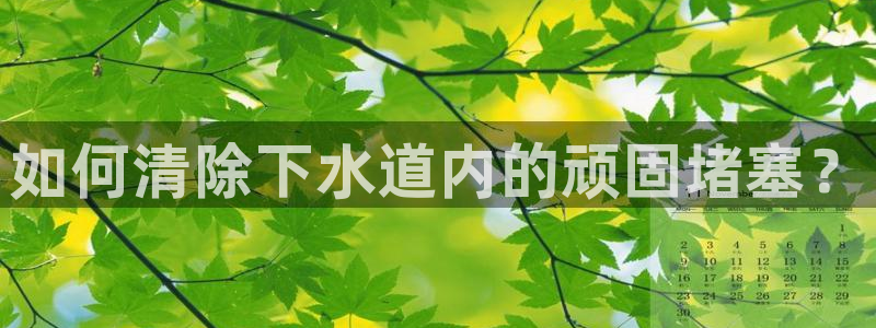 球盟会综合体育平台