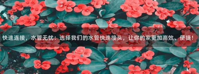 球盟会电子好下吗