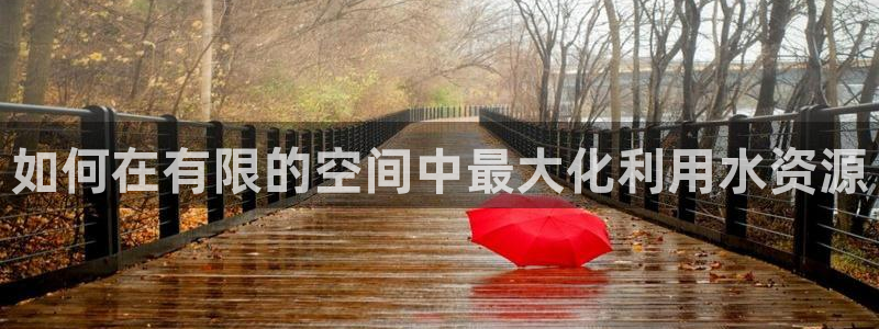 球盟会登陆入口