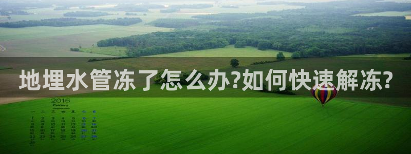 球盟会APP下载