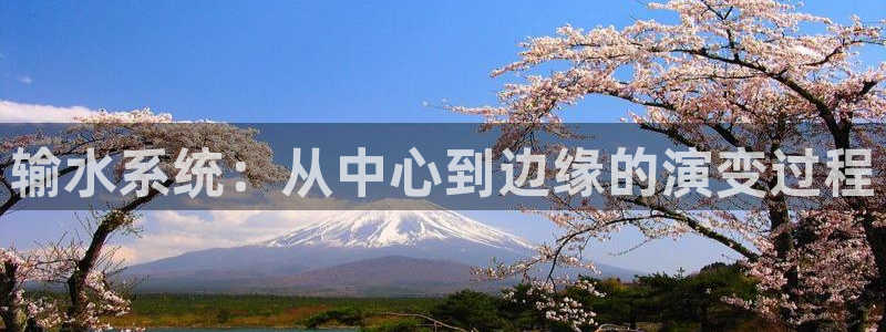 球盟会官网入口