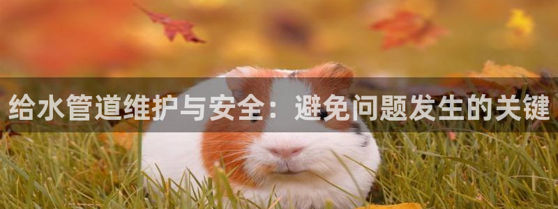 球盟会连接