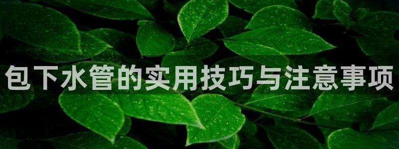 球盟会app最新地址下载