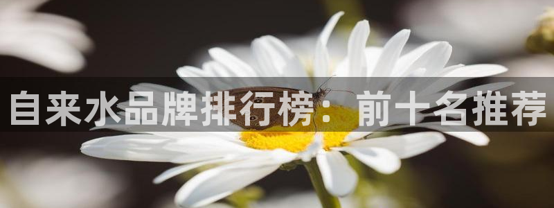 球盟会黑钱