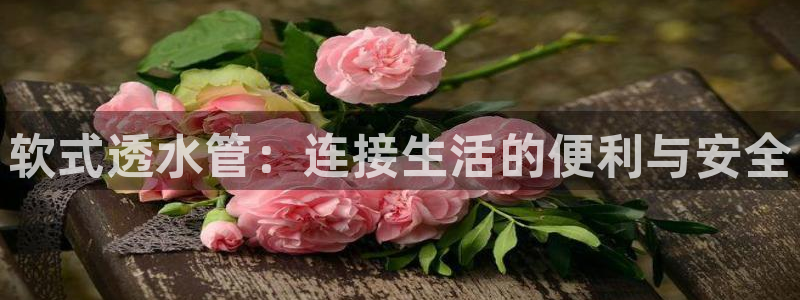 球盟会官方下载