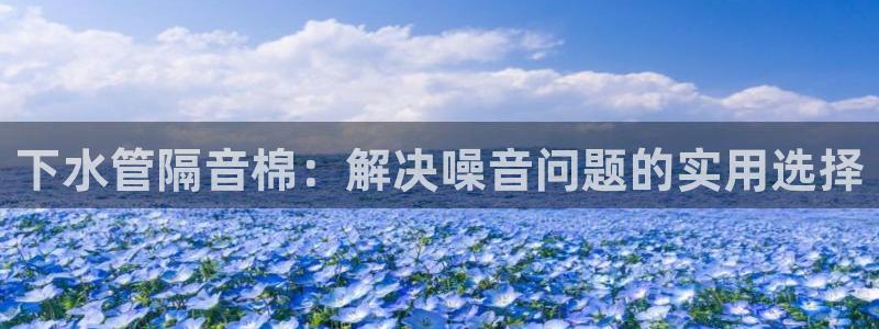 球盟会App