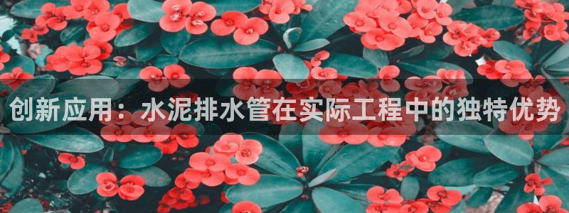 球盟会有没有黑单的人
