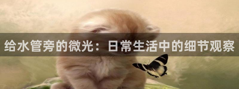 球盟会最新活动