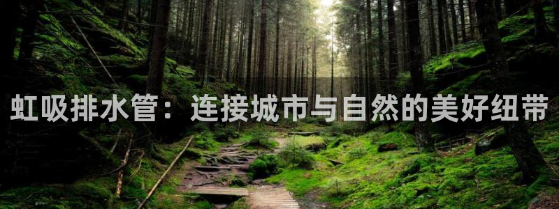 球盟会qmh电子网页版登录