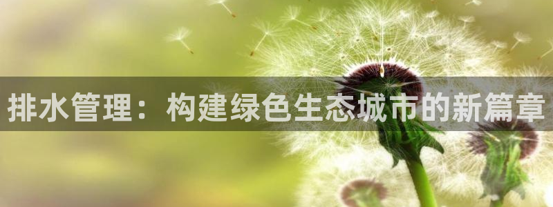 球盟会网页版登陆