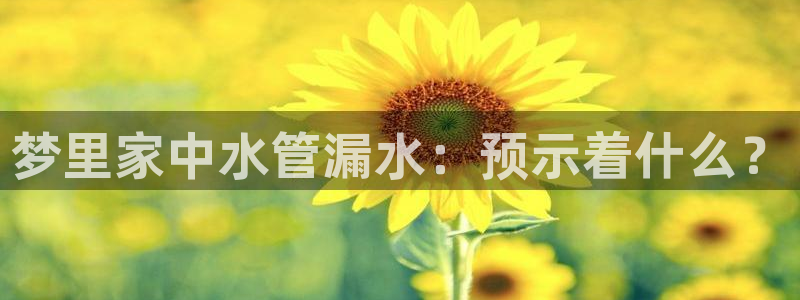 球盟会可以提现么