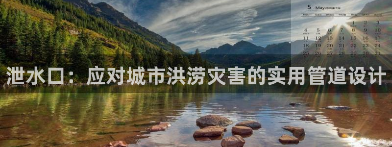 球盟会和中欧