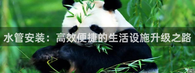 球盟会综合app下载