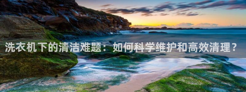 球盟会体育app官方网站