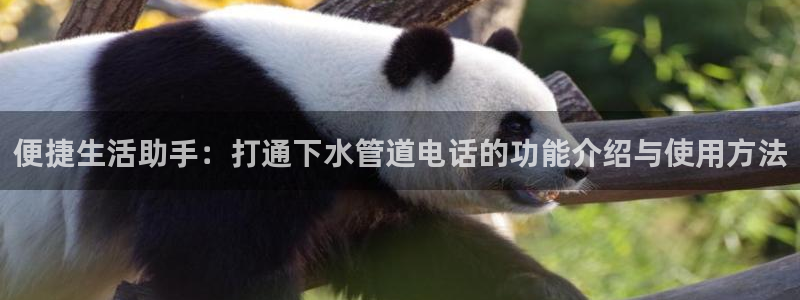 球盟会官方入口