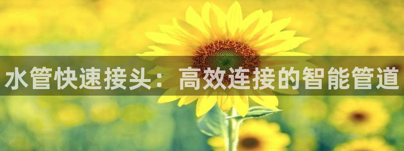 球盟会里面有打牌的嘛