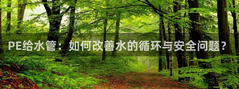 球盟会体育app官方网站