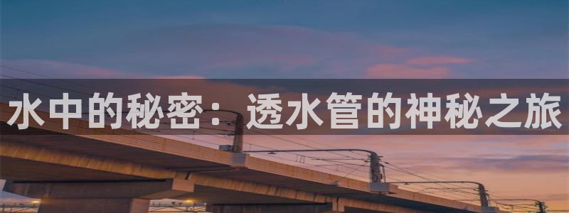 球盟会(中国)官方网站